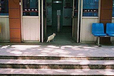 -45%《极限竞速：地平线5》新史低！